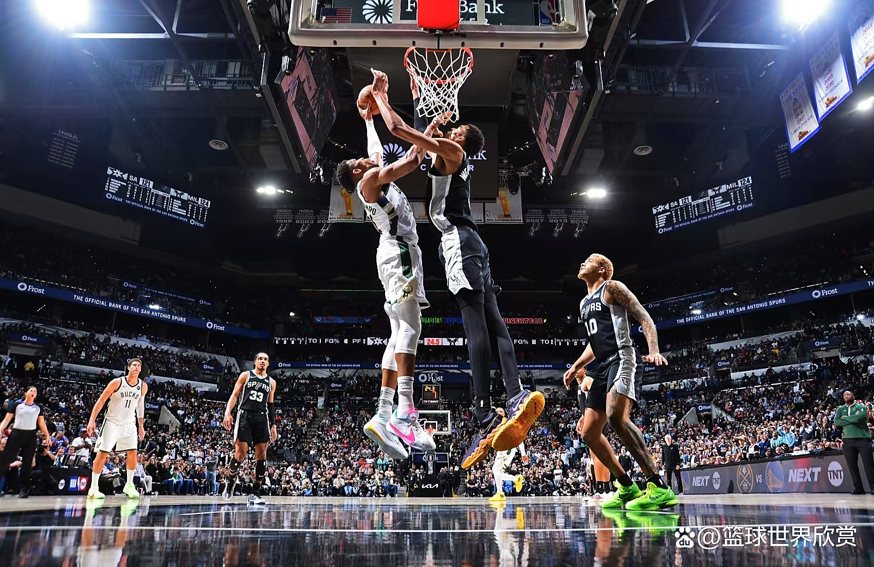 字母哥迎来十五赛季出色发挥，德国队观众热烈欢呼！的简单介绍